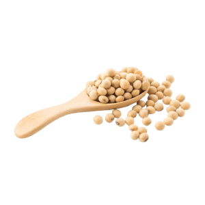 Salted Soybean